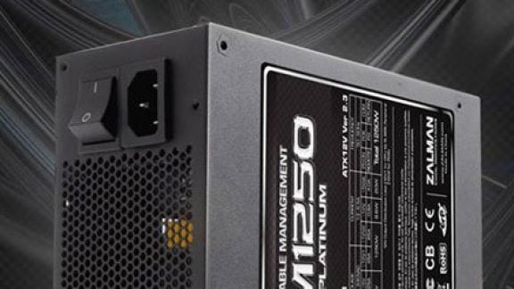 Zalman ZM1250 Platinum