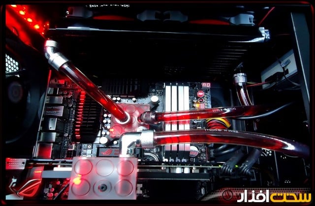 عکس هفته عکس هفته