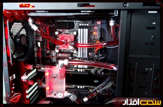 عکس هفته عکس هفته