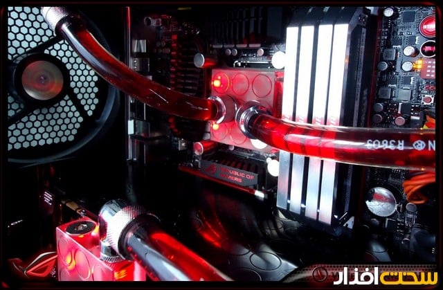 عکس هفته عکس هفته