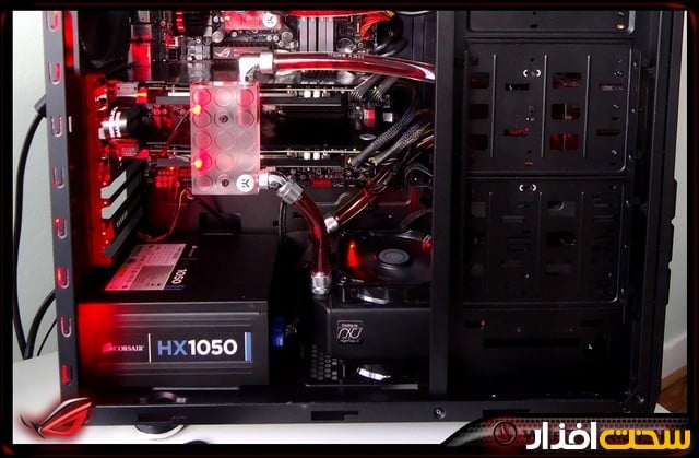 عکس هفته عکس هفته