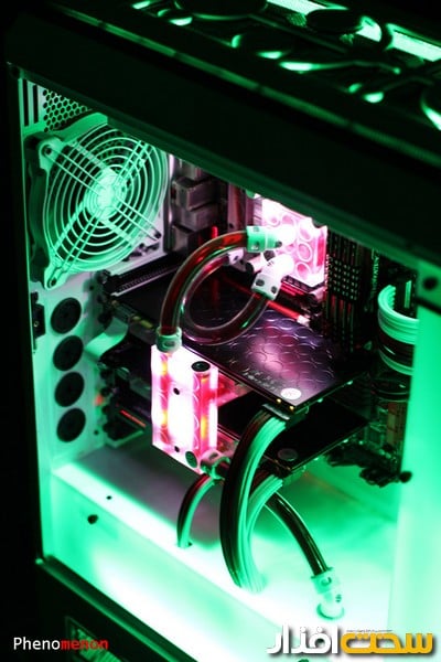 عکس هفته عکس هفته