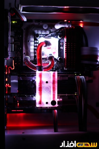 عکس هفته عکس هفته