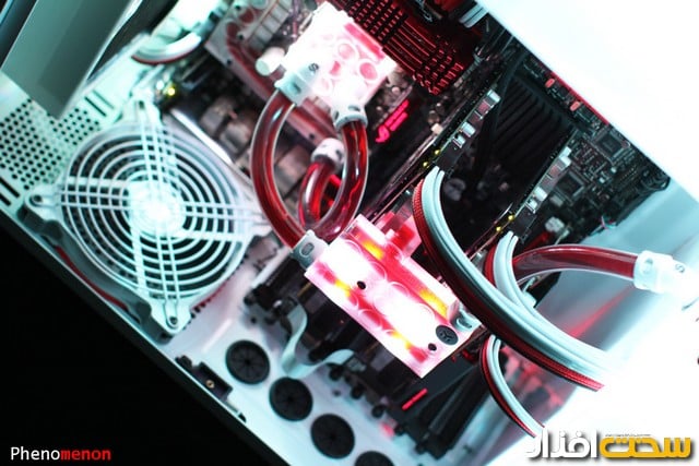 عکس هفته عکس هفته