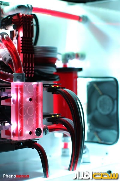 عکس هفته عکس هفته