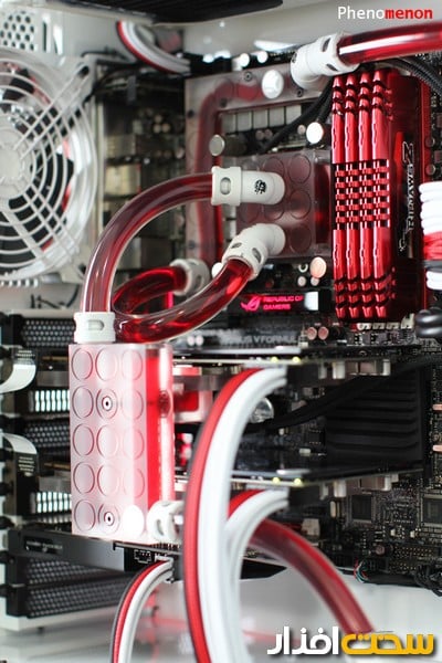 عکس هفته عکس هفته