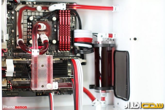 عکس هفته عکس هفته