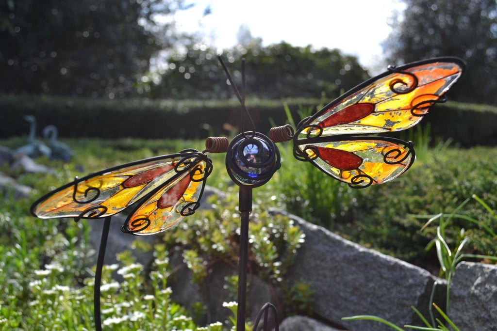 نمونه عکس دوربین نیکون D3100