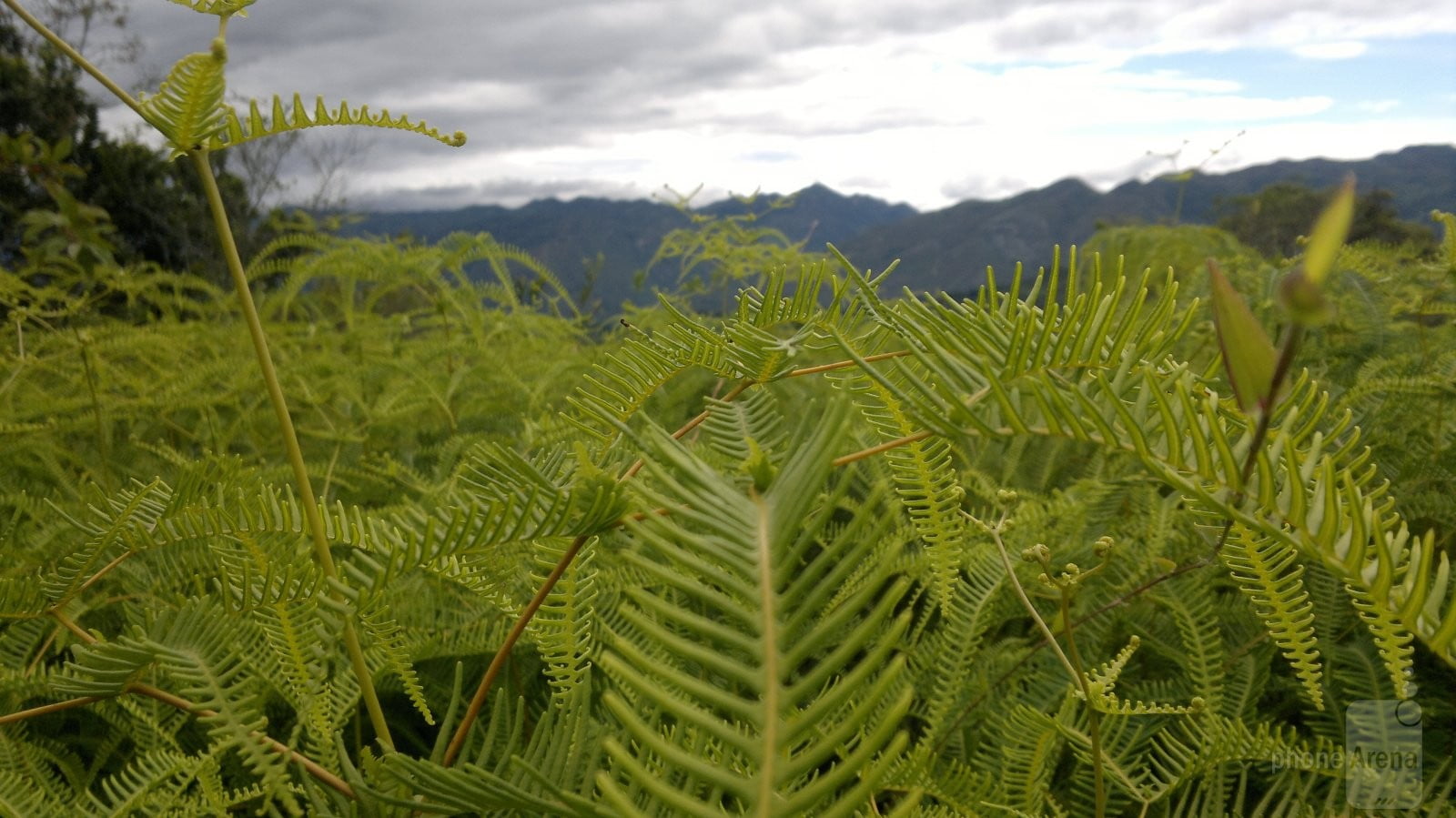 نمونه تصویر دوربین موبایل