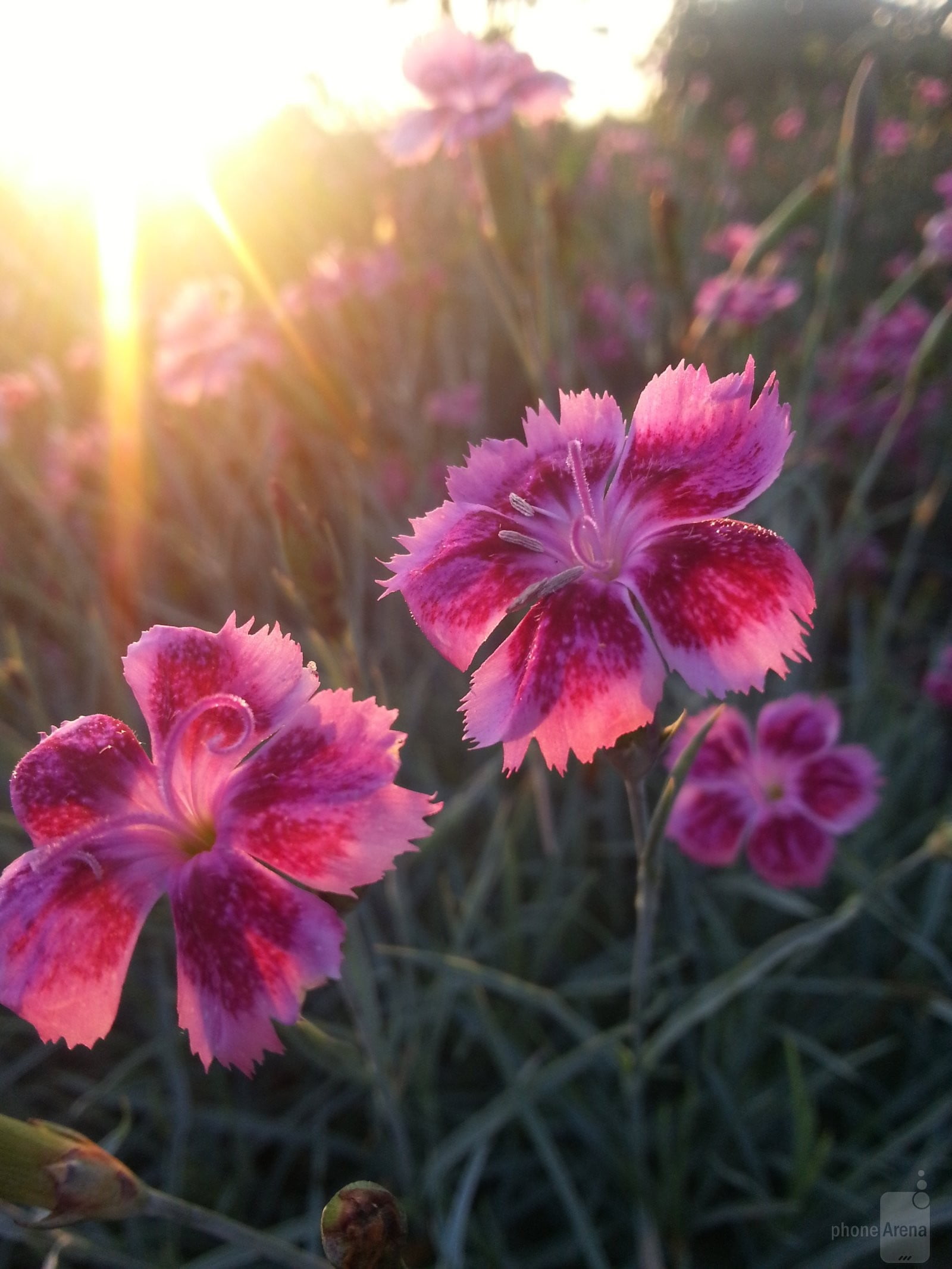 نمونه تصویر دوربین موبایل