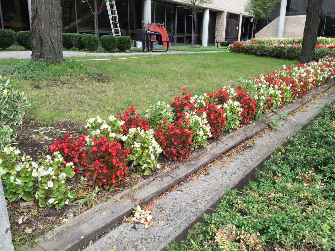 نمونه تصاویر گرفته شده با دوربین آیفون 6 و آیفون 6 پلاس