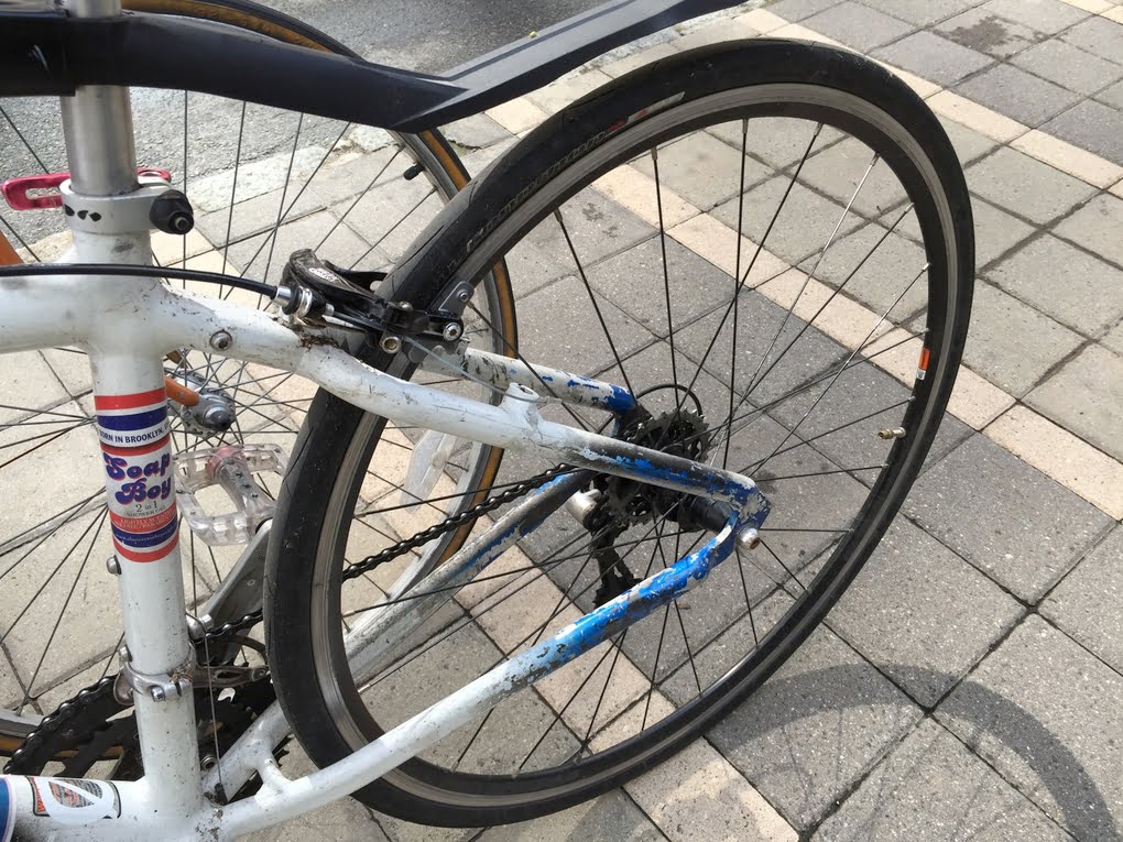 نمونه تصاویر گرفته شده با دوربین آیفون 6 و آیفون 6 پلاس