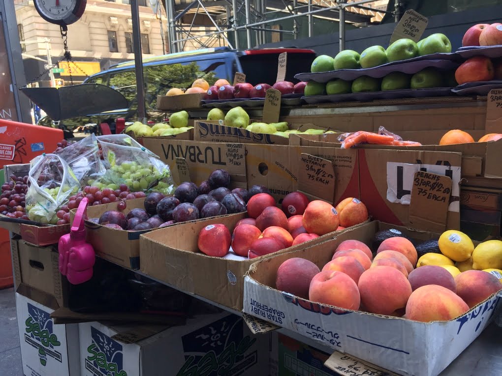 نمونه تصاویر گرفته شده با دوربین آیفون 6 و آیفون 6 پلاس