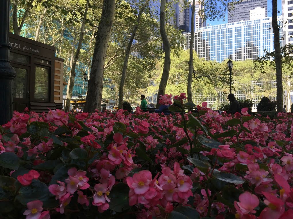 نمونه تصاویر گرفته شده با دوربین آیفون 6 و آیفون 6 پلاس