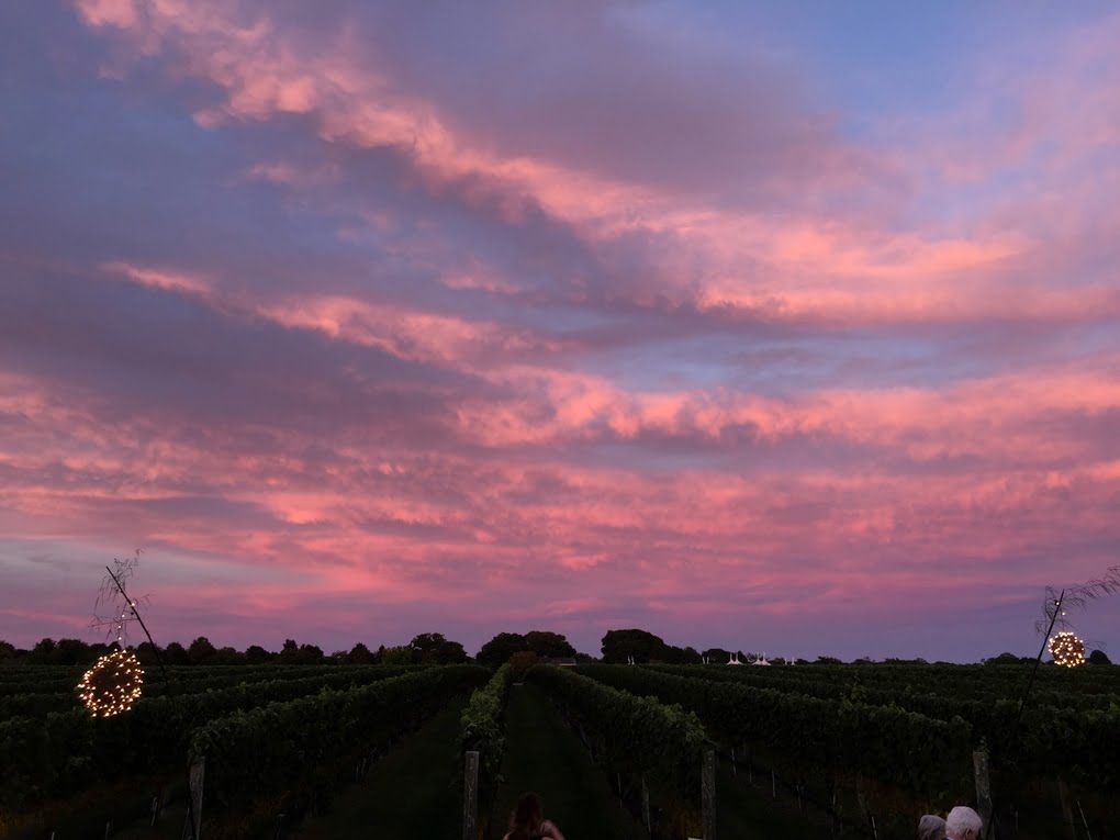 نمونه تصاویر گرفته شده با دوربین آیفون 6 و آیفون 6 پلاس