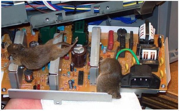 کامپیوتر پر گرد و خاک 