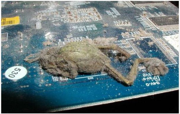 کامپیوتر پر گرد و خاک 