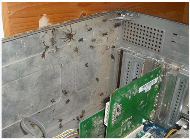 کامپیوتر پر گرد و خاک 