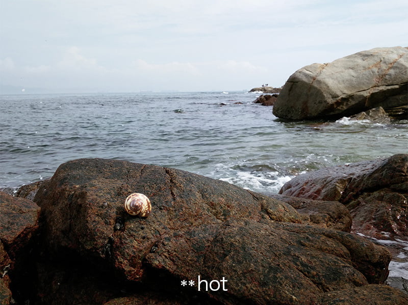 نمونه تصویر دوربین موبایل 