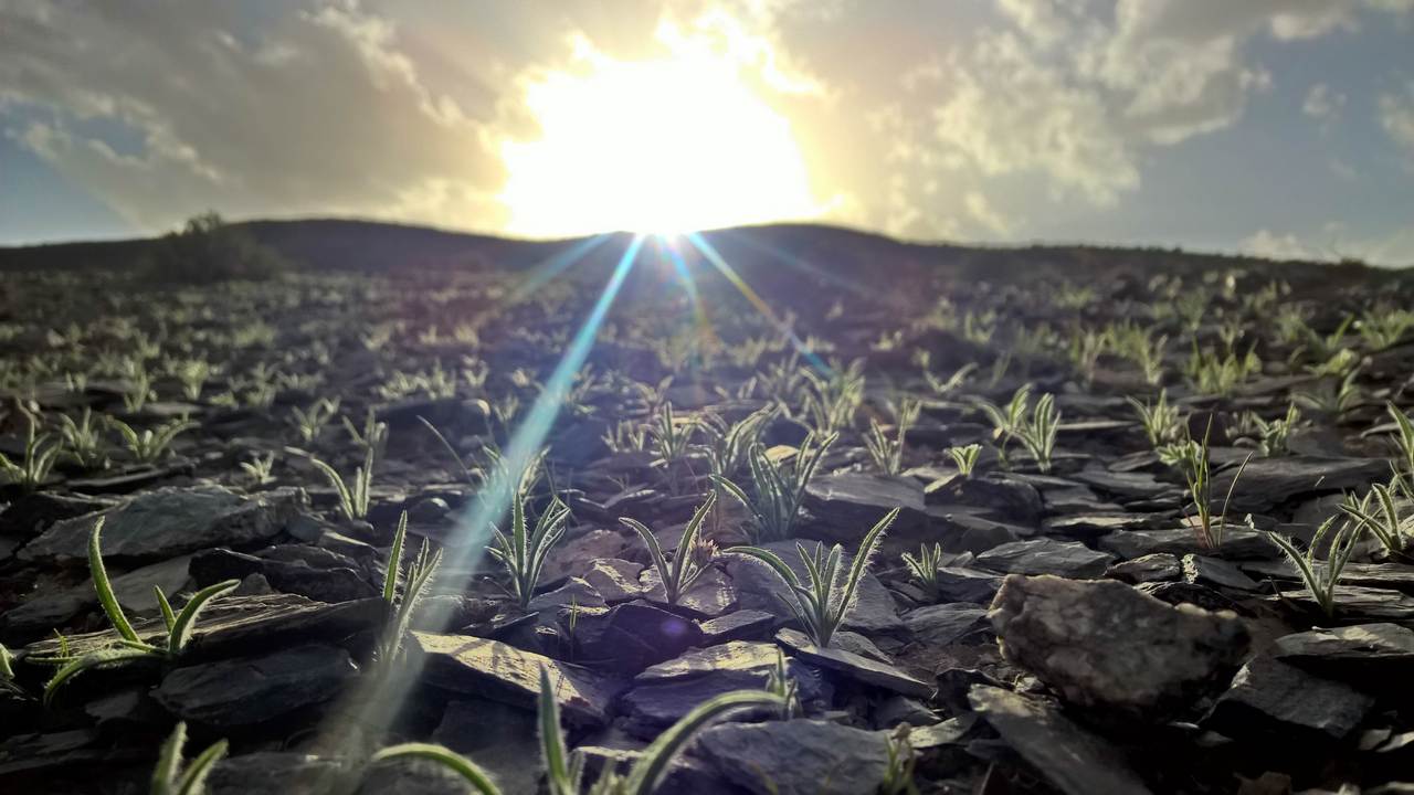 اعلام برندگان مسابقه وب سایت سخت افزار