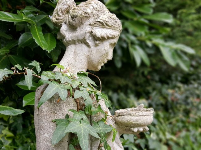 عکاسی با اسمارت فون