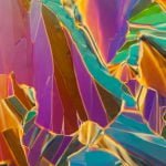 Linden-Gledhill_03-1024x683