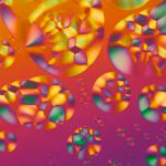 Linden-Gledhill_05-1024x682