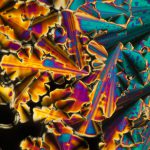 Linden-Gledhill_06-1024x682