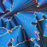 Linden-Gledhill_10-1024x682