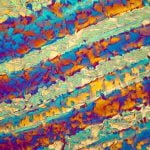 Linden-Gledhill_13-1024x682