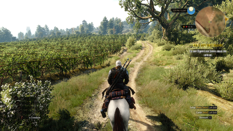 witcher3-1
