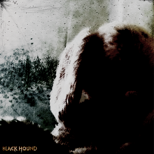 Black Hound