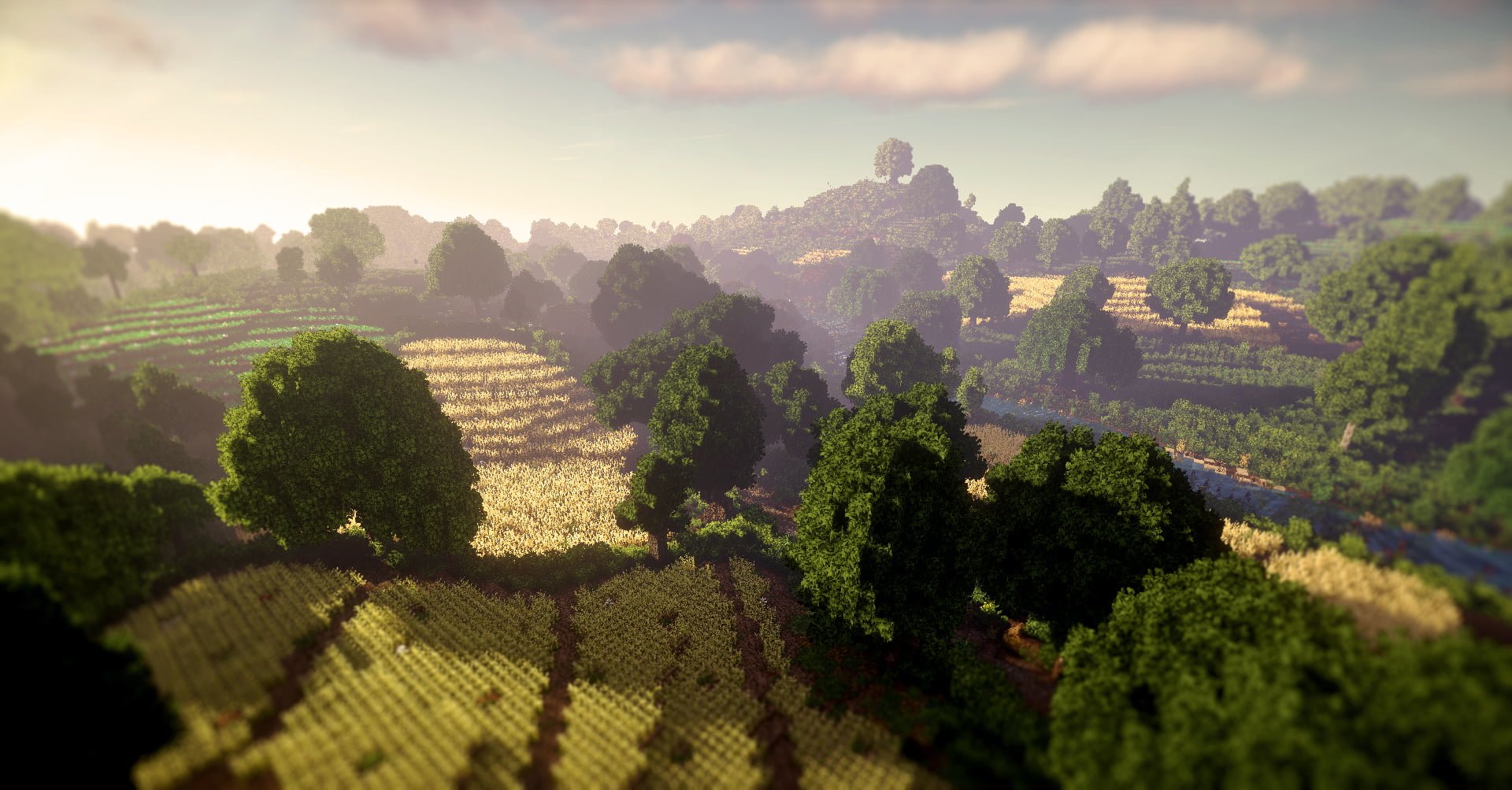 Shire-1