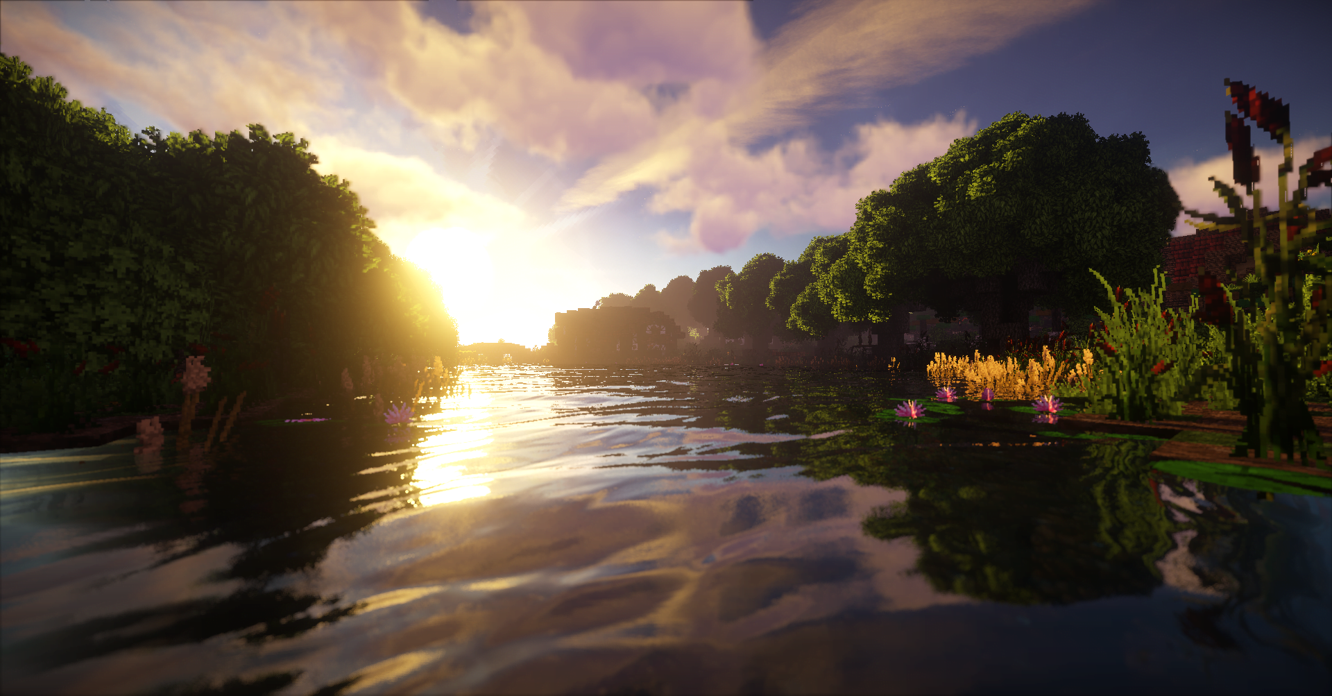 Shire-5