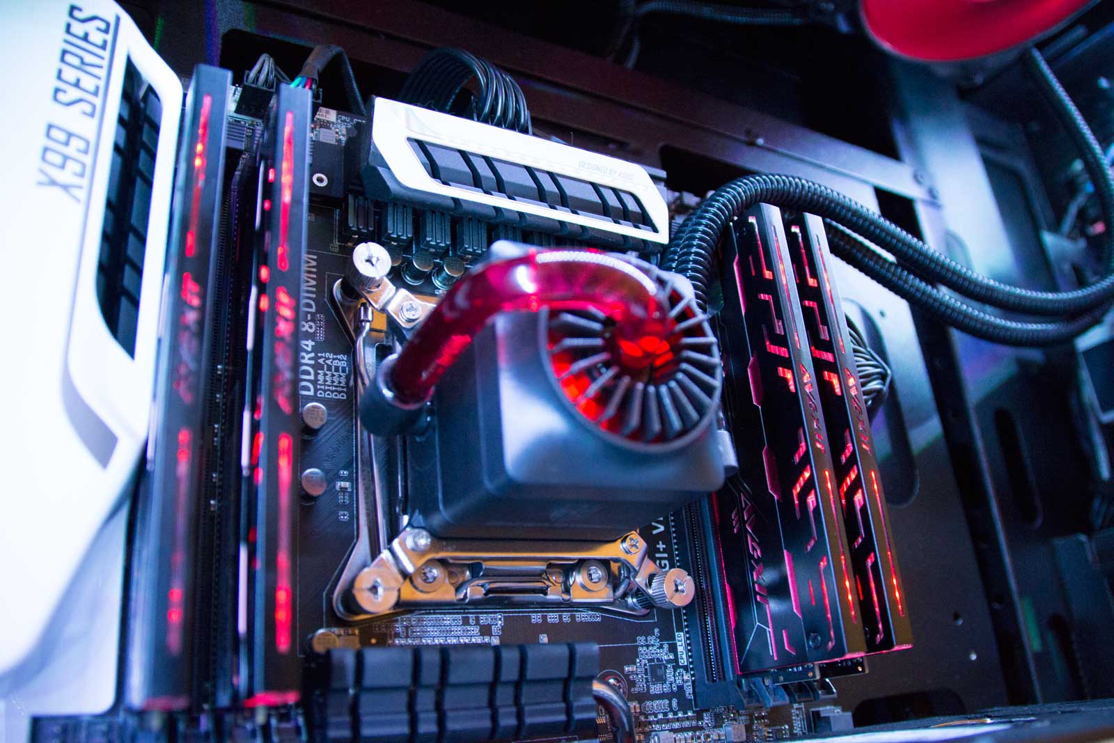 کیس مخصوص بازی