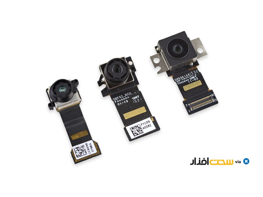 کالبدشکافی