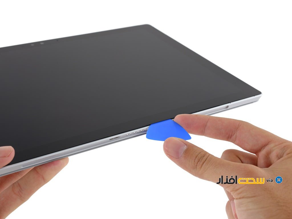 کالبدشکافی