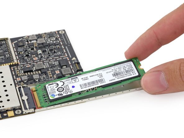 کالبدشکافی