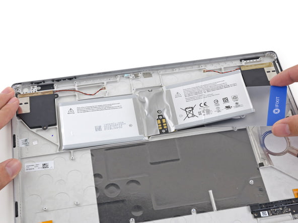 کالبدشکافی