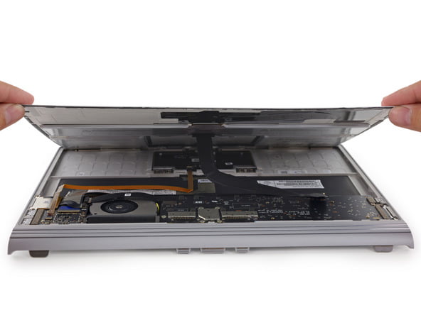 کالبدشکافی