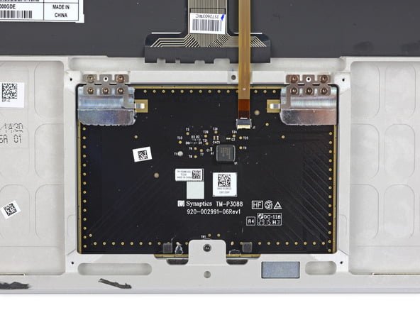 کالبدشکافی