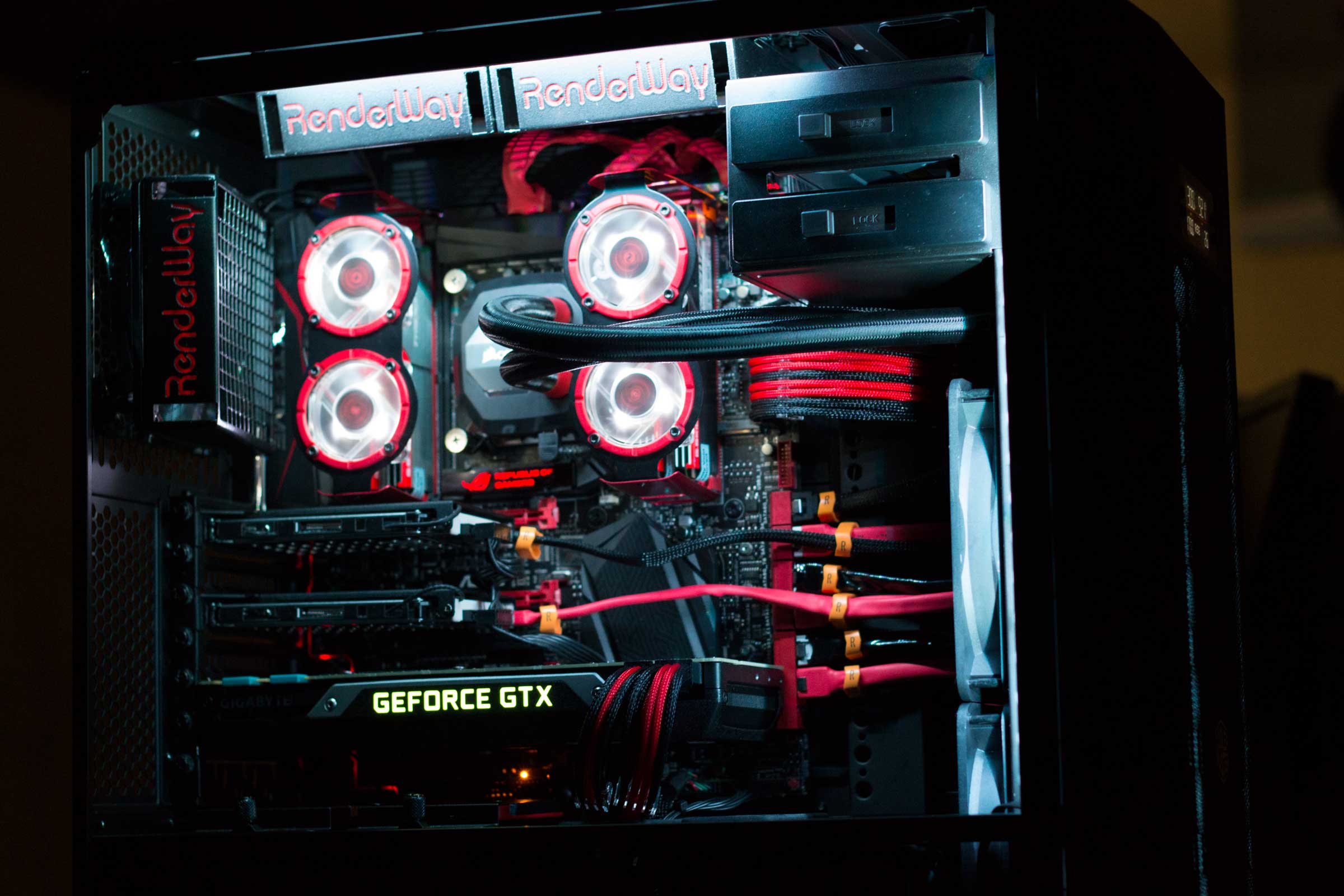 کیس مخصوص بازی