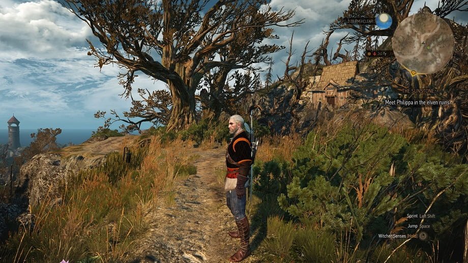 witcher3