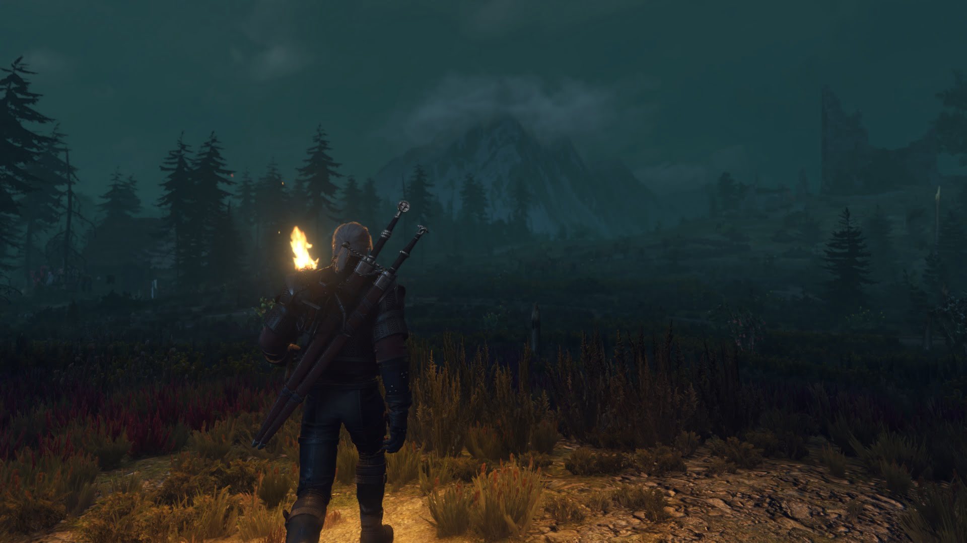 witcher-3