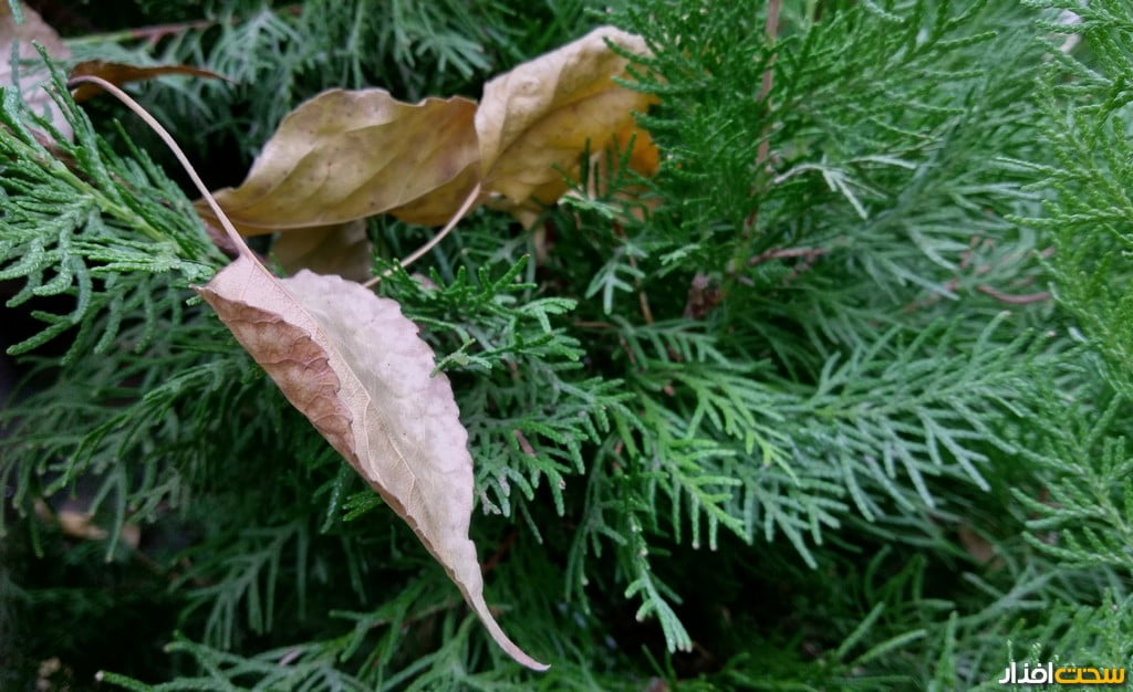 بررسی موبایل HTC One A9