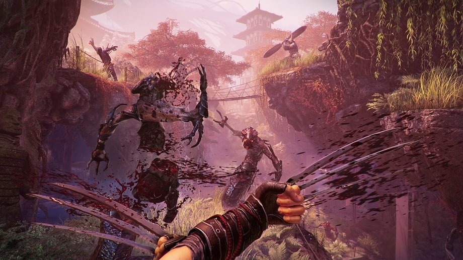 shadow-warrior2