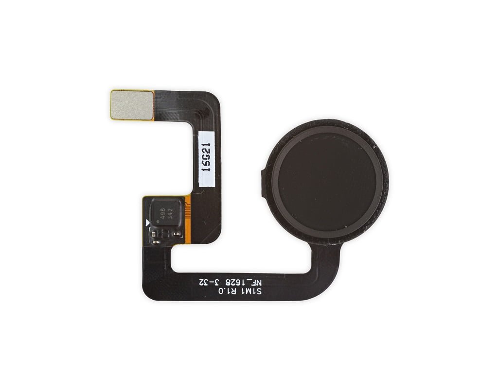 کالبدشکافی پیکسل ایکس ال گوگل