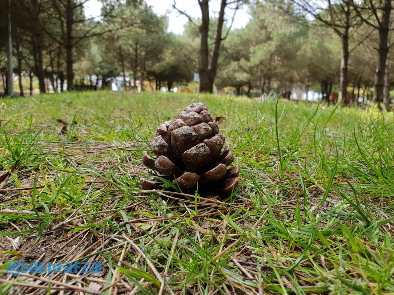 مقایسه دوربین وی 30 پلاس با گلکسی اس 9