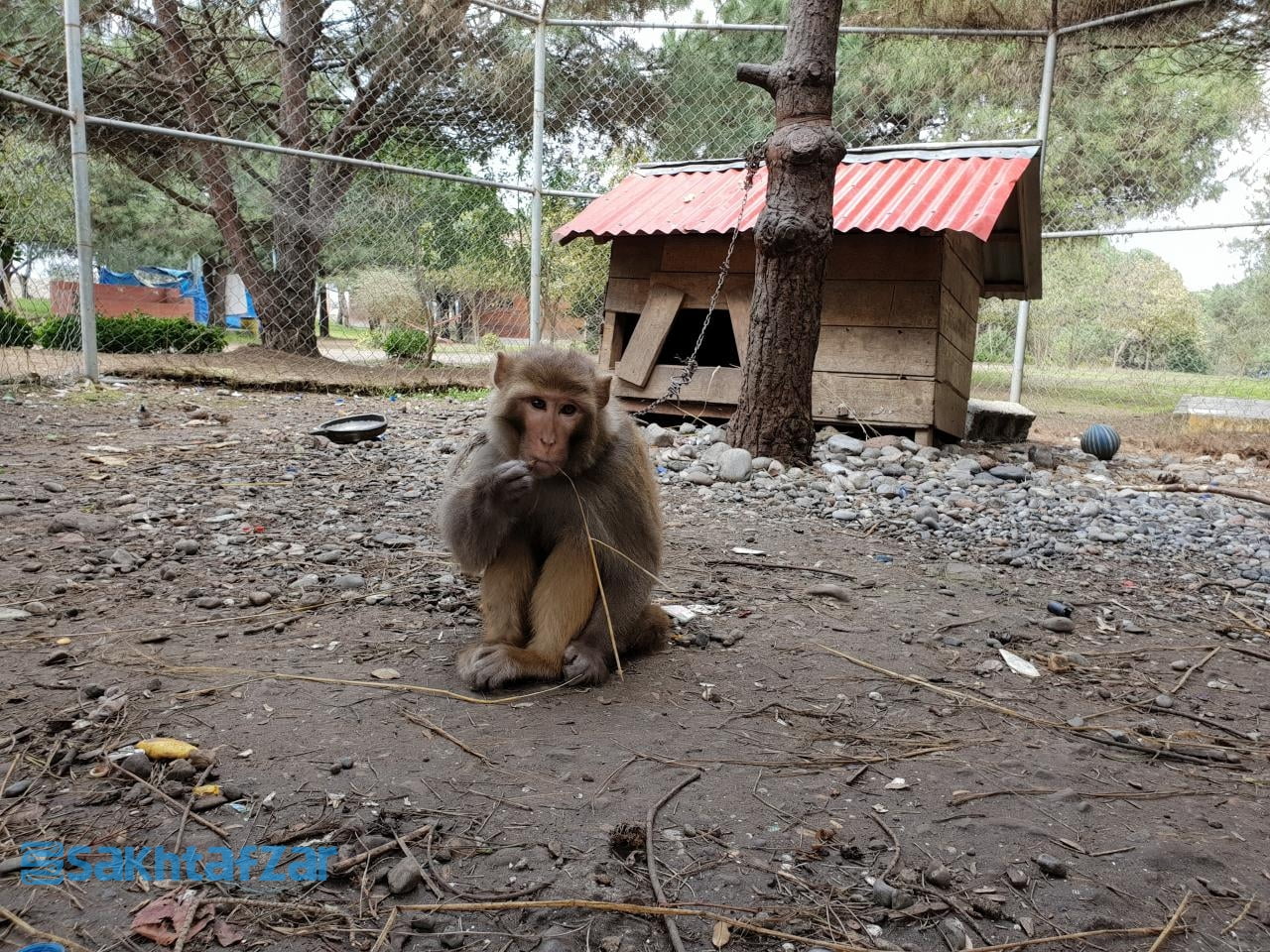 مقایسه دوربین وی 30 پلاس با گلکسی اس 9