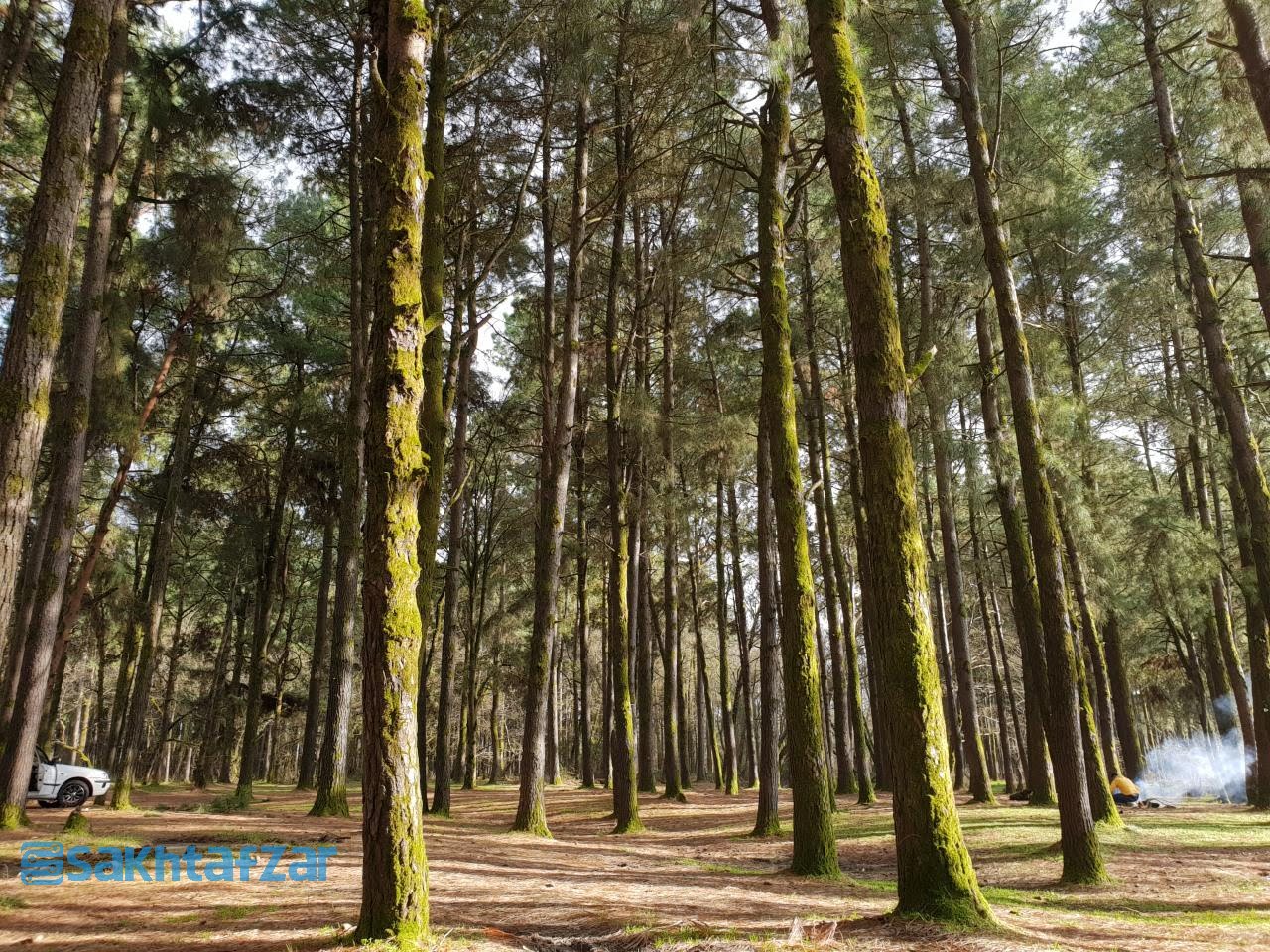 مقایسه دوربین وی 30 پلاس با گلکسی اس 9